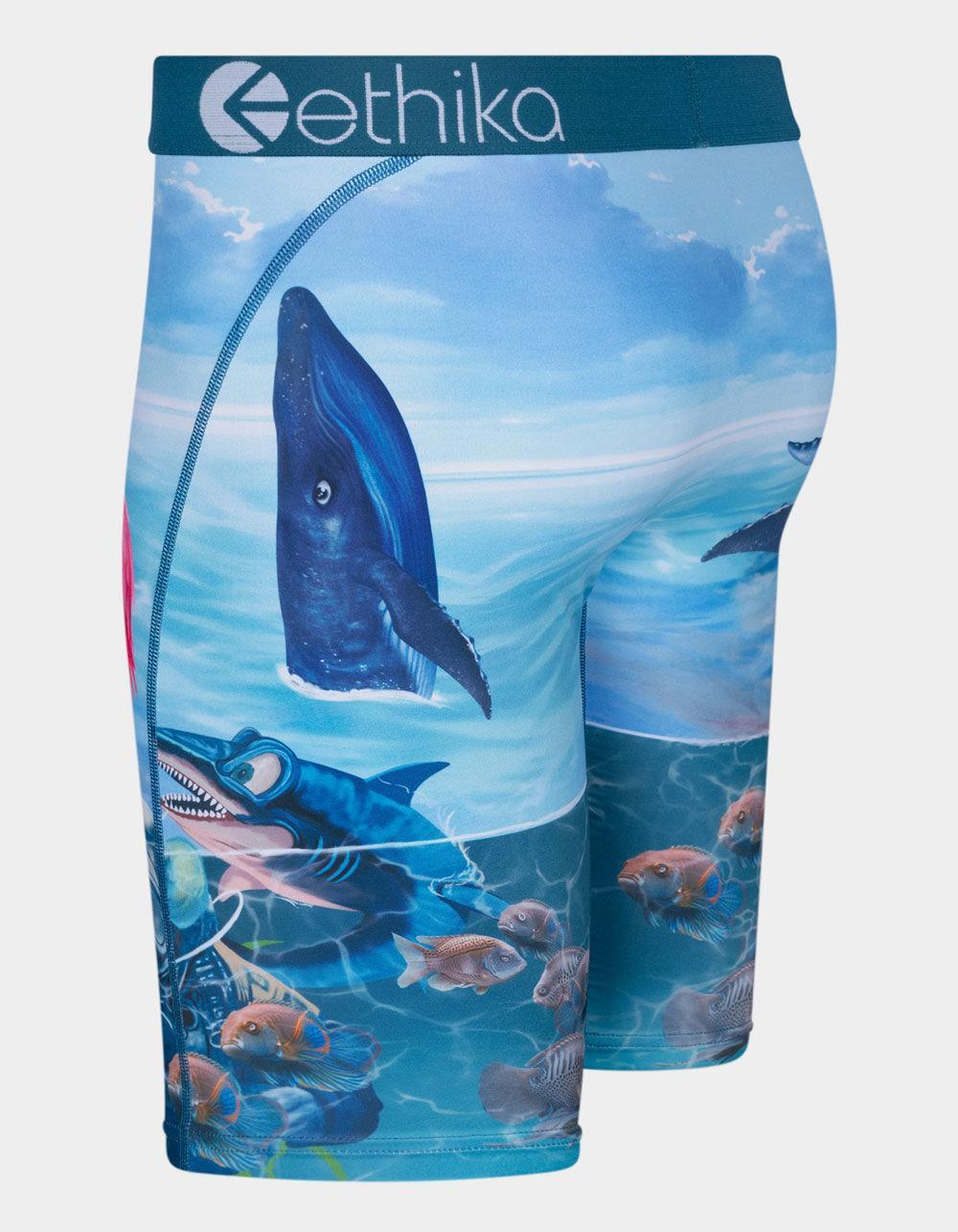 ETHIKA Voyage Staple Mens Boxer Briefs Product Image