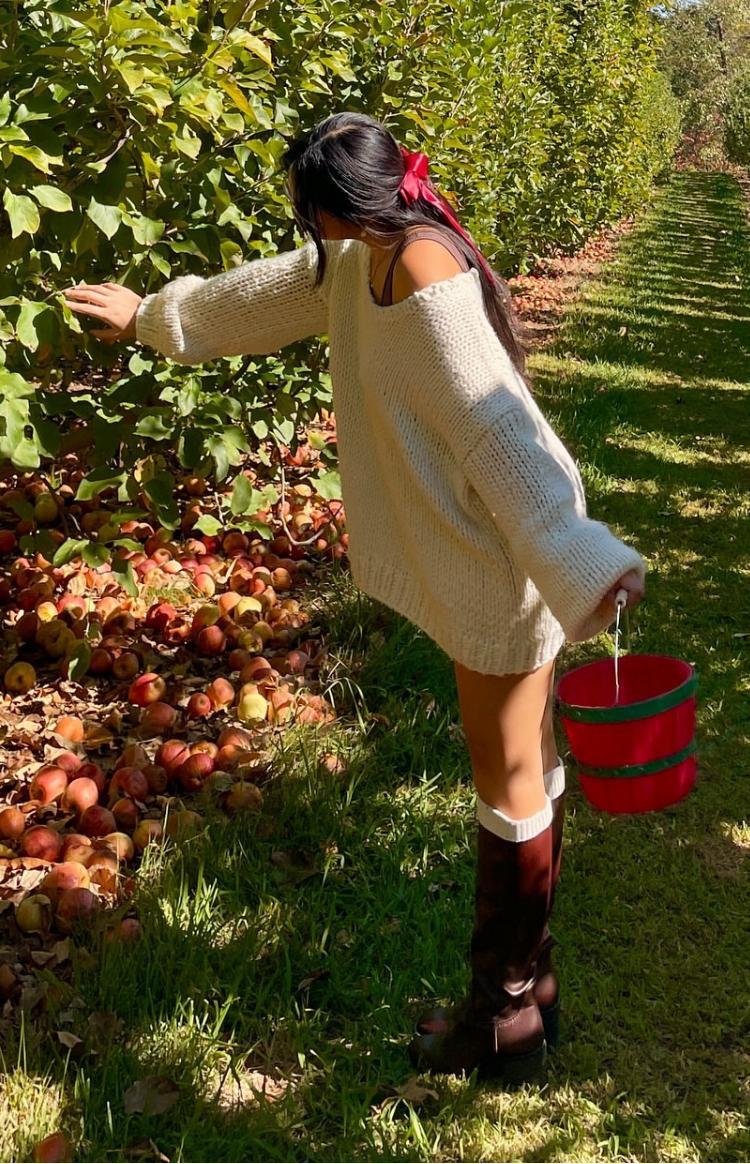 Delvey Cream Chunky Knit Sweater Product Image