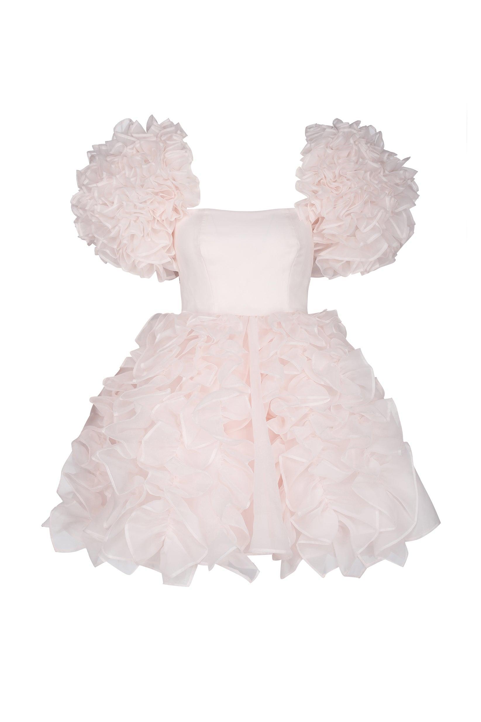 The Strawberry Milk Paris Dress Product Image