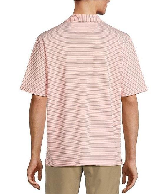 Roundtree & Yorke Performance Short Sleeve Mini Stripe Polo Shirt Product Image