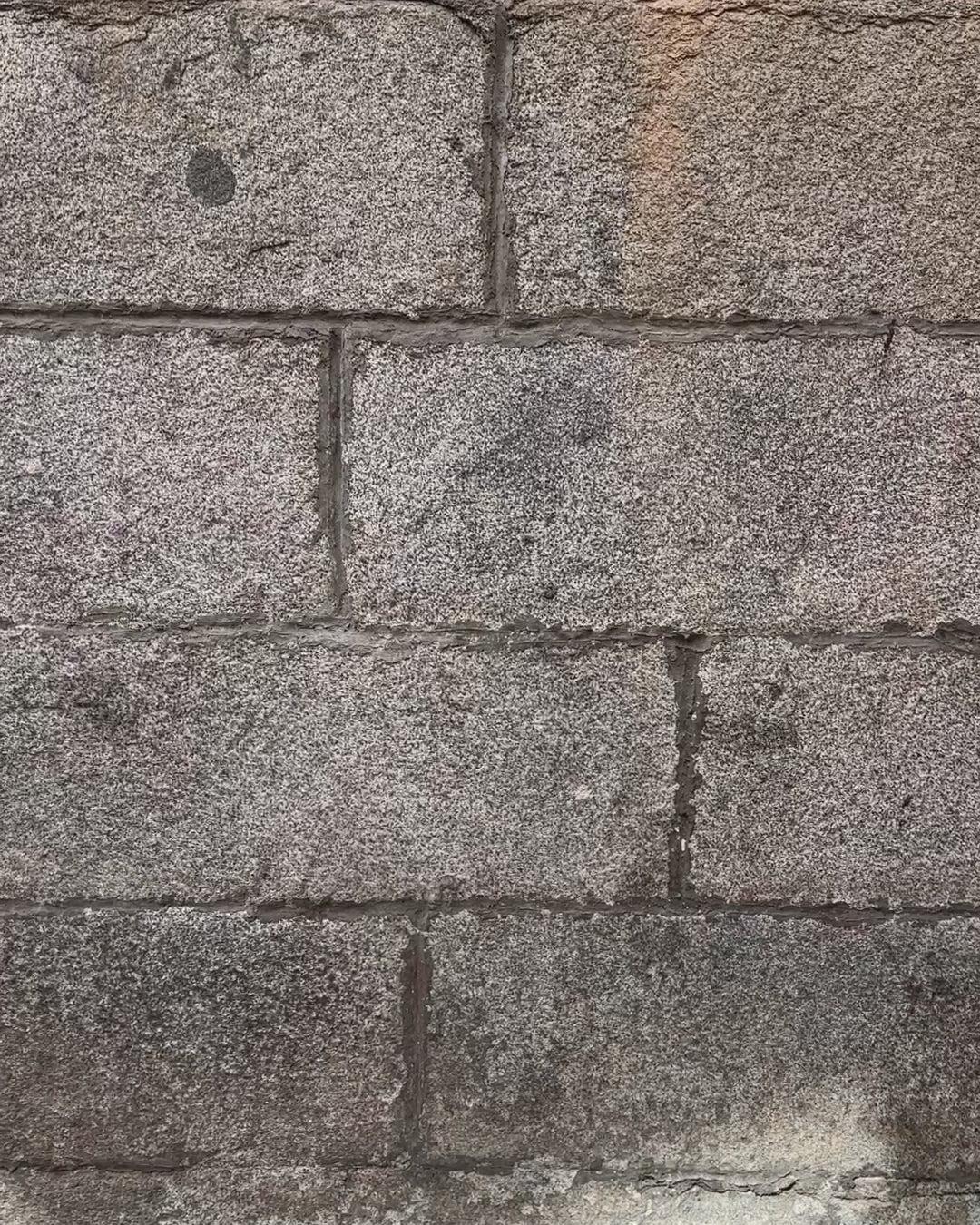 Carolyn Tee In Fine Rib Product Image