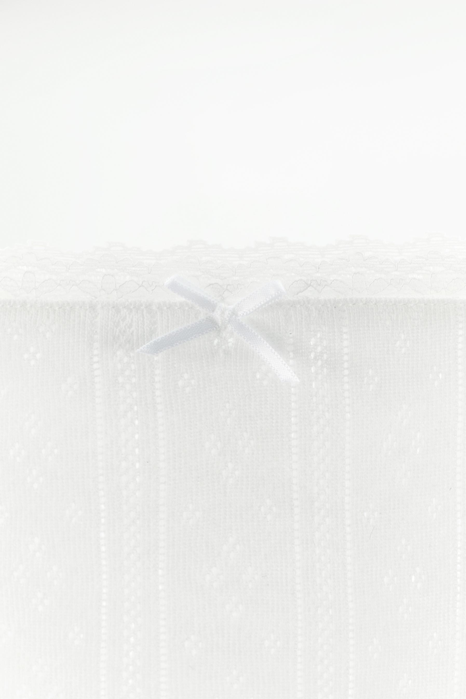 LACE TRIM POINTELLE PANTIES Product Image