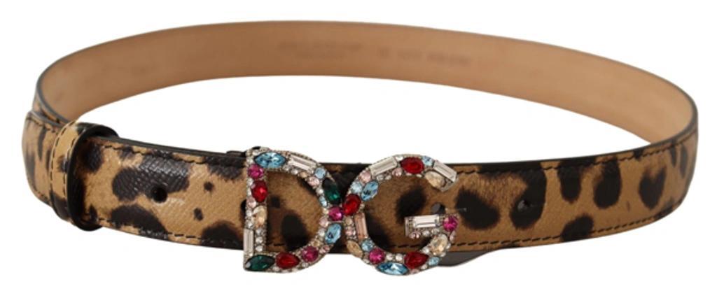 DOLCE & GABBANA Brown Leopard Leather Dg Crystals Buckle Belt Product Image