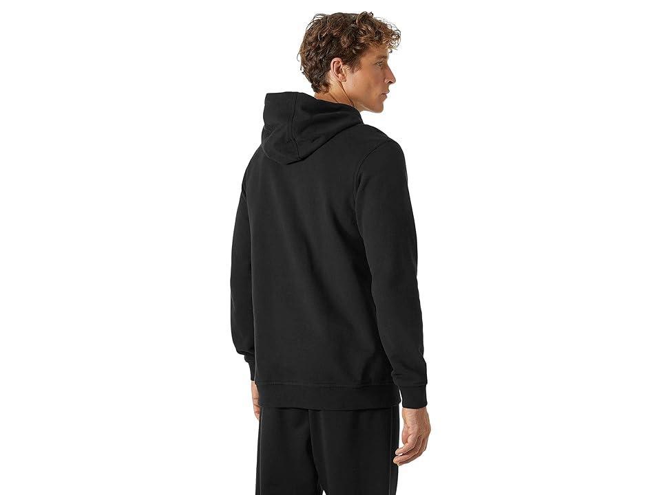 Helly Hansen HH Logo Hoodie Men's Clothing Product Image