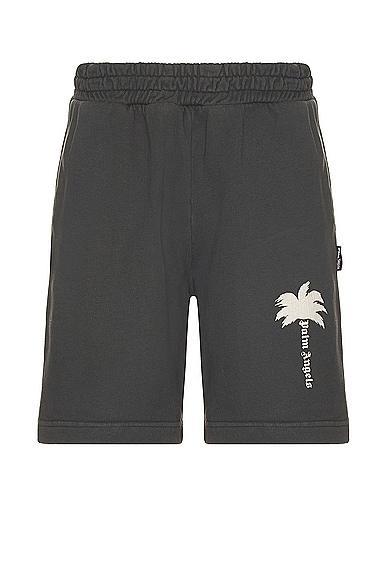 Palm Angels Palm GD Sweatshort in Charcoal Product Image