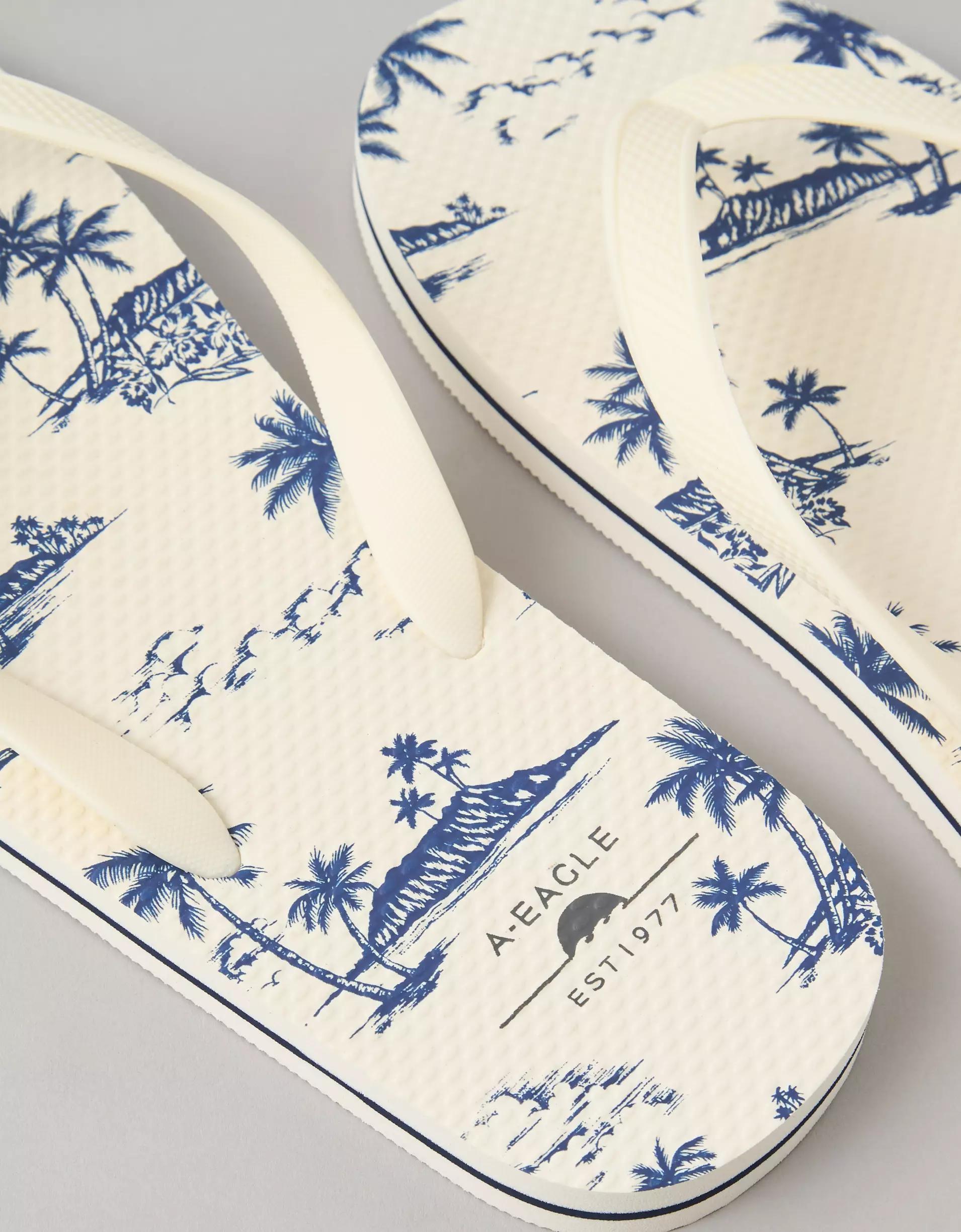 AE Men's First Wave Flip Flop Product Image