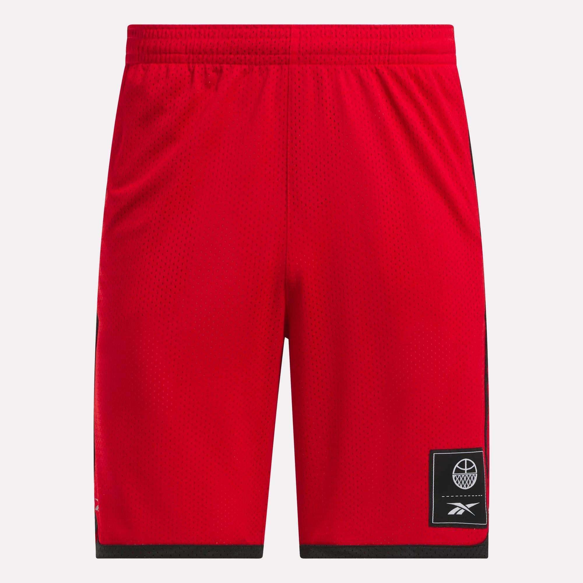 Men's Basketball Mesh Shorts Male Product Image