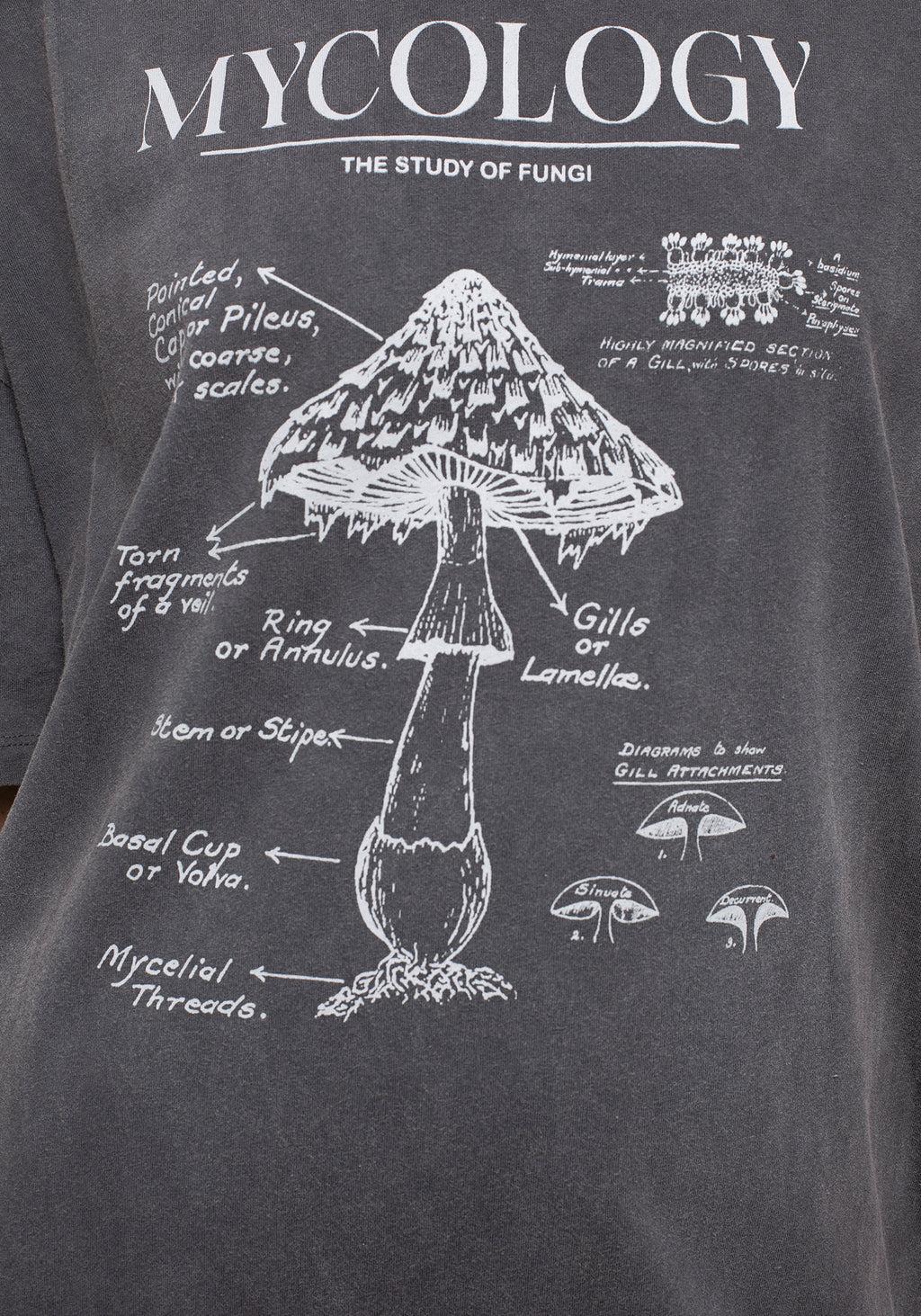 Mycology Graphic Print Tee Dress Product Image