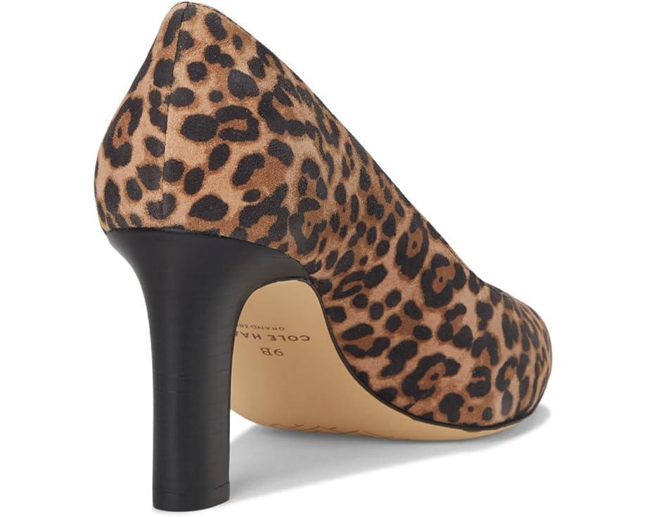 MSRP: $190(10% OFF) Product Image