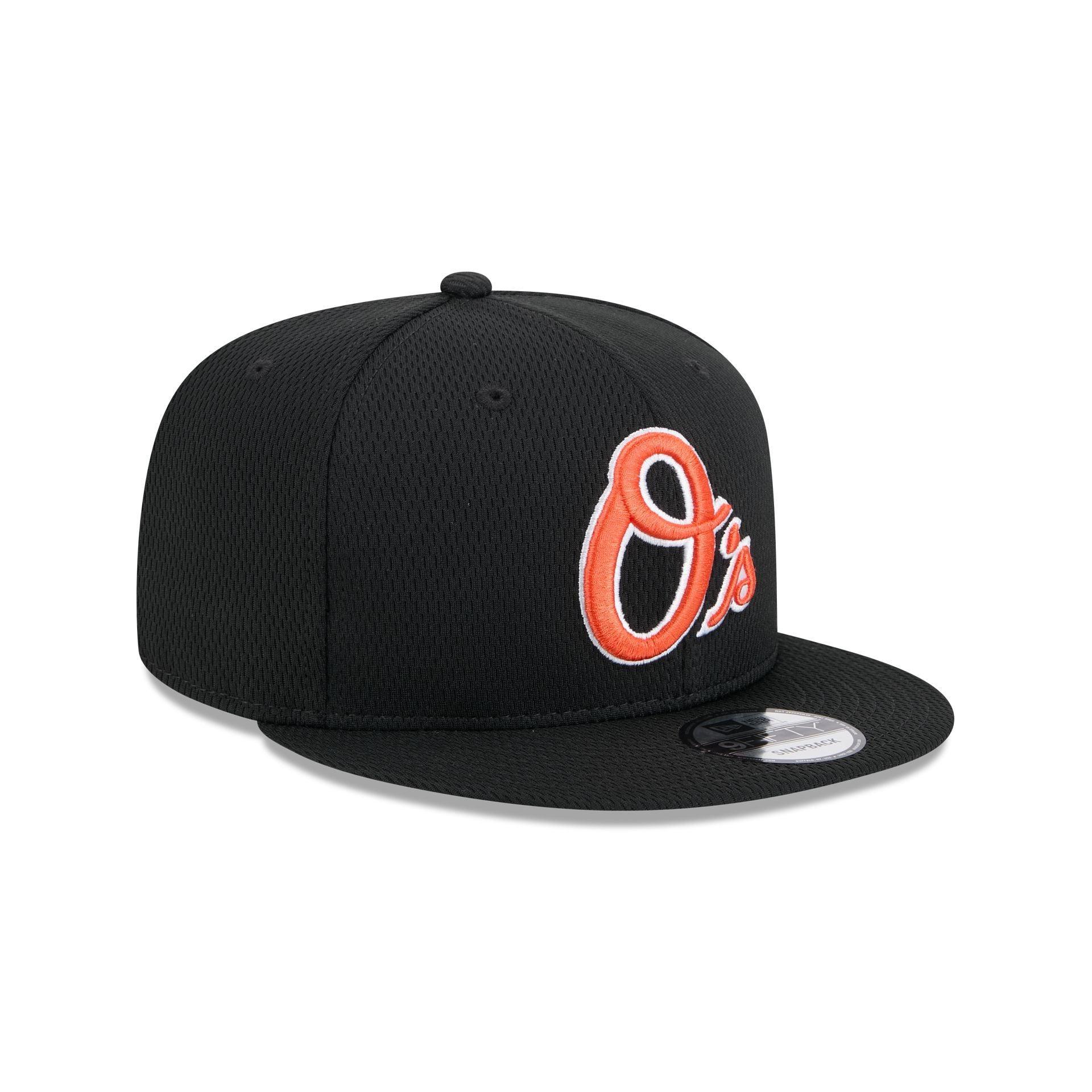 Delmarva Shorebirds Theme Night 59FIFTY Fitted Hat Male Product Image