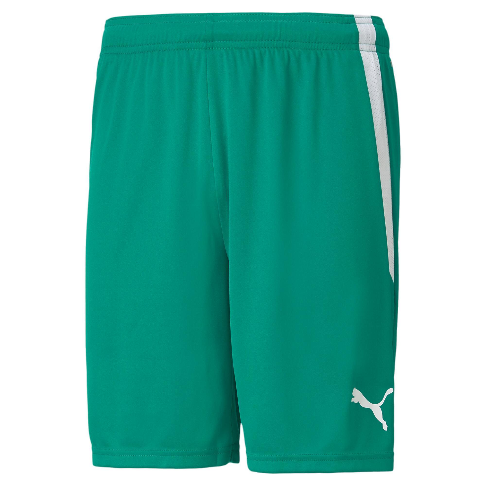 teamLIGA Men's Soccer Shorts Product Image