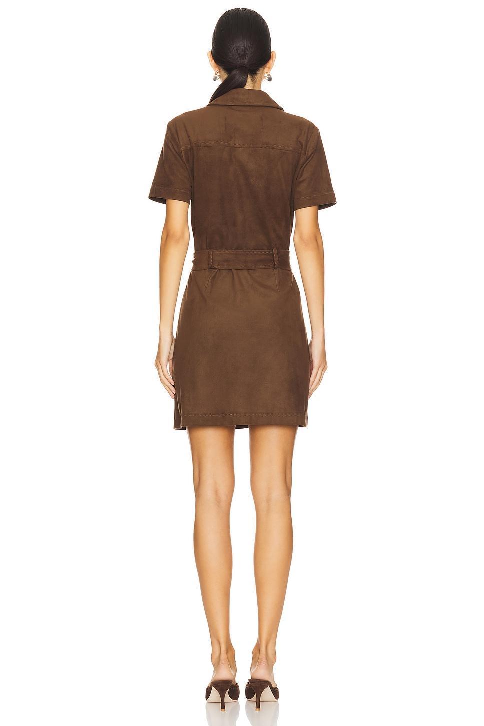 Jolene Dress Steve Madden Product Image