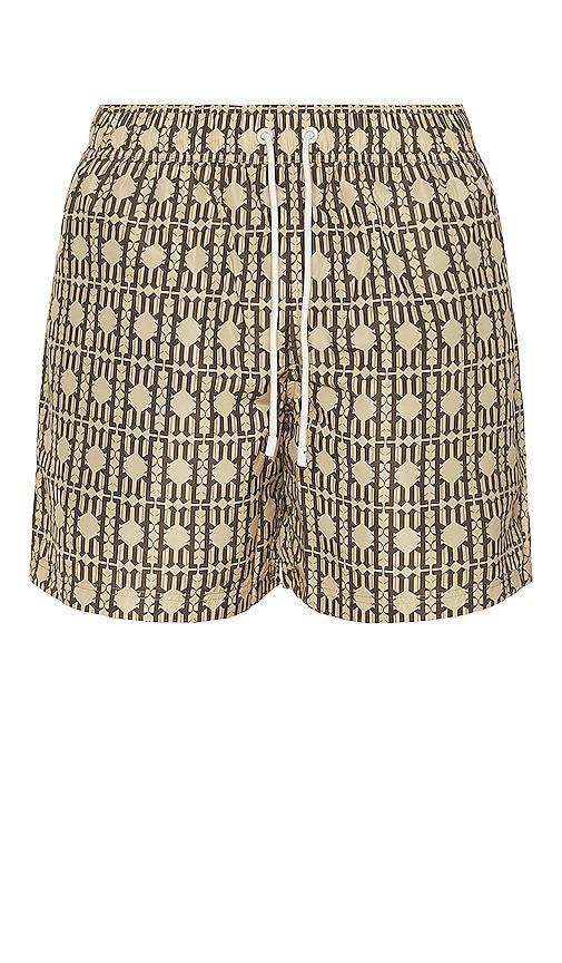 Palm Angels Swimshorts in Brown Product Image