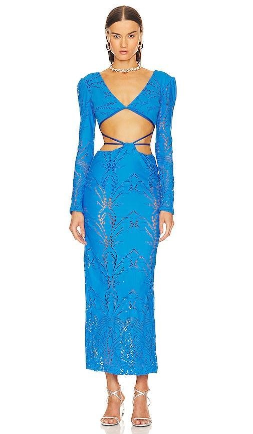 Stretch Lace Maxi Dress PatBO Product Image