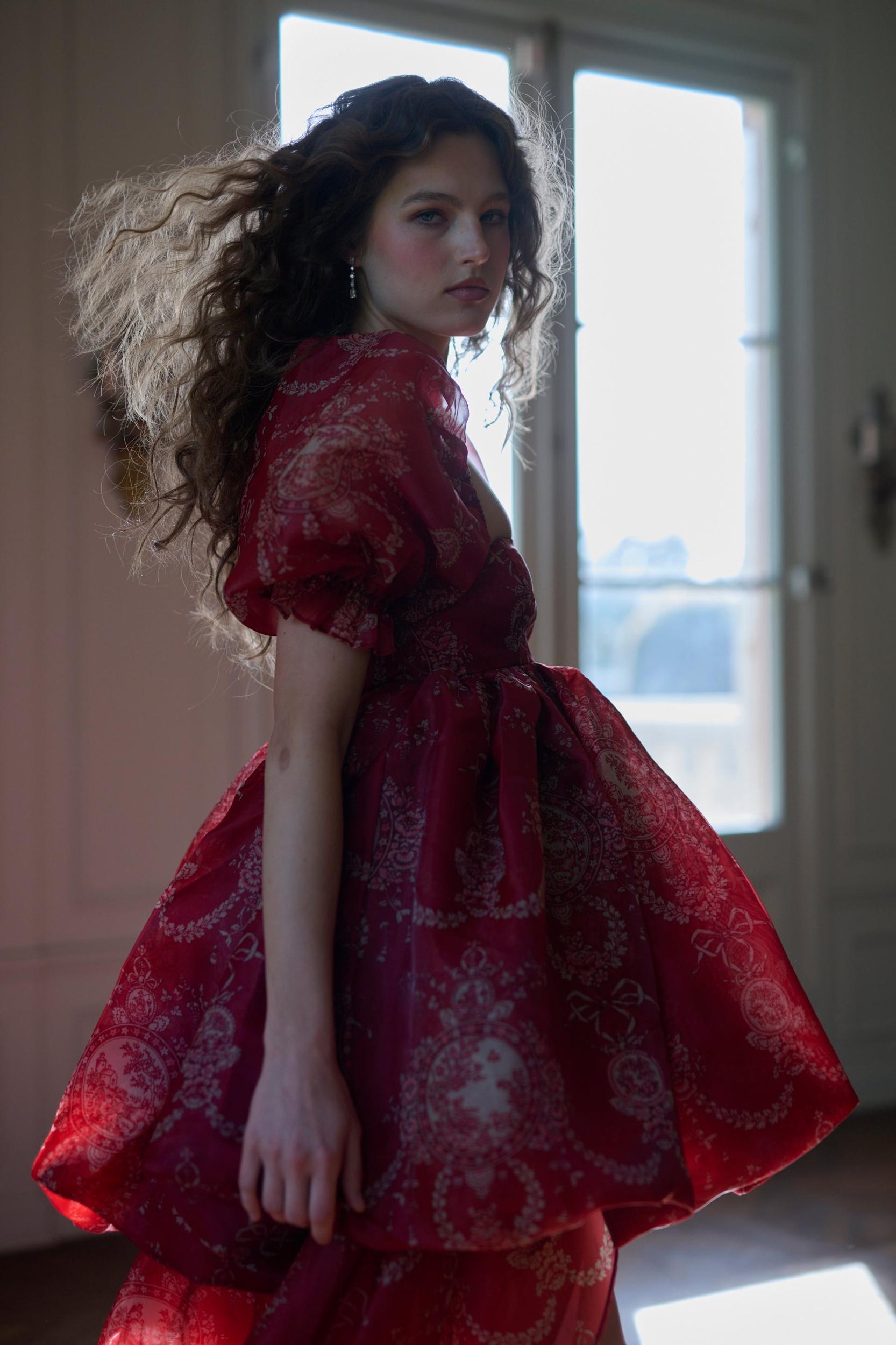 The Ornament Fairytale Gown Product Image