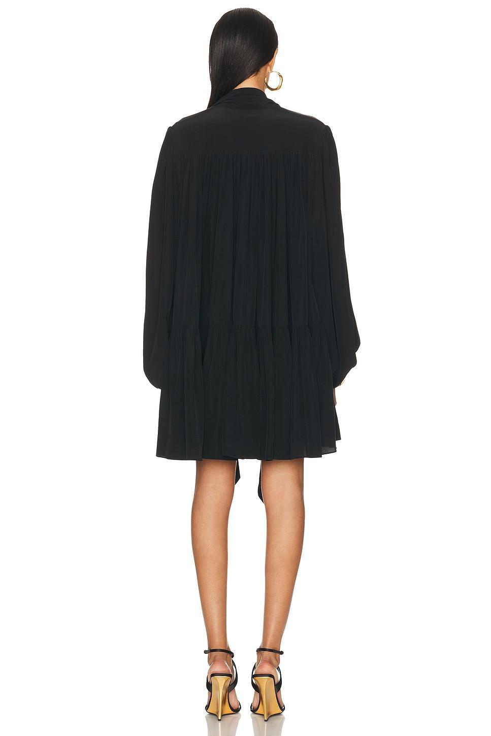 Long Sleeve Mini Dress Product Image