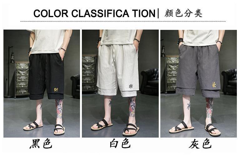 Drawstring Waist Embroidered Panel Shorts Product Image