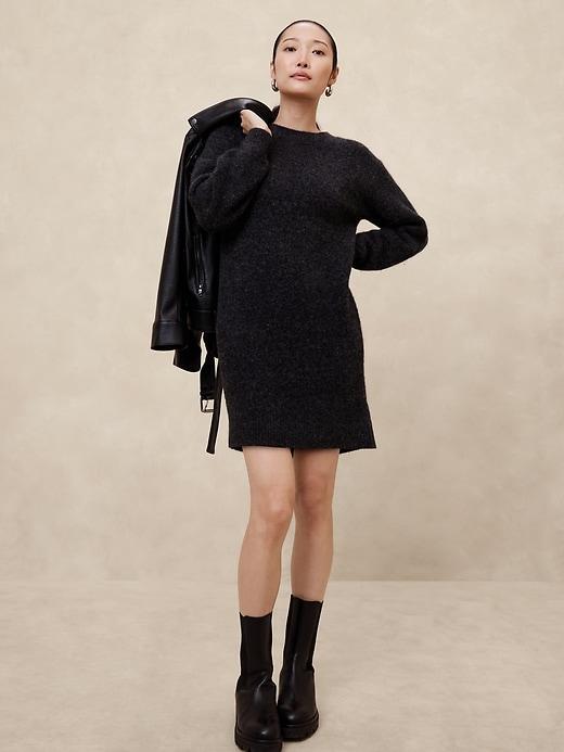 Cozy Mini Sweater Dress Product Image