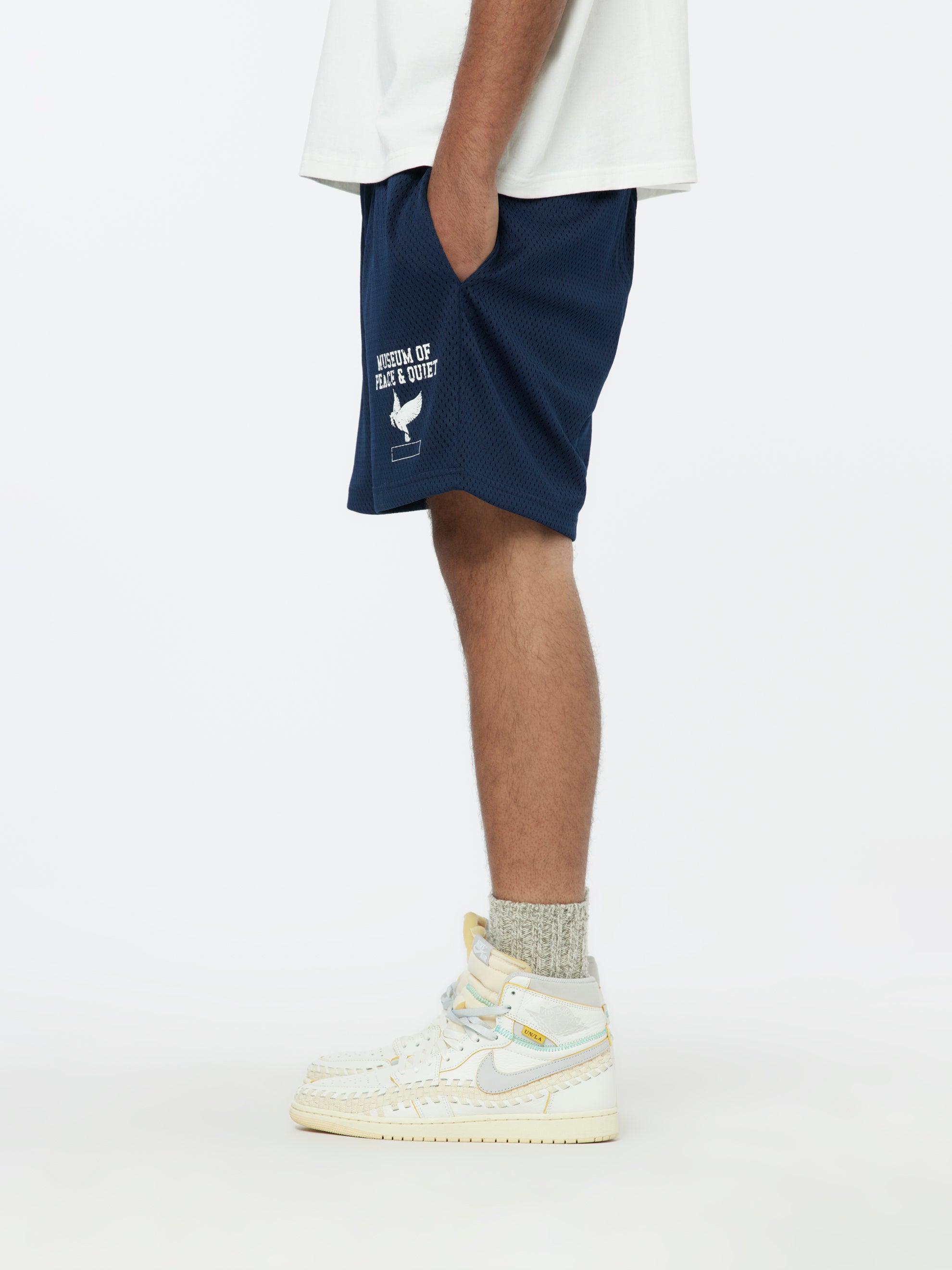 P.E. Mesh Shorts (Navy) Product Image