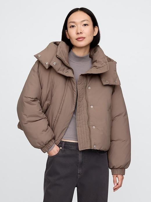 Cropped Duvet Wrap Puffer Jacket Product Image