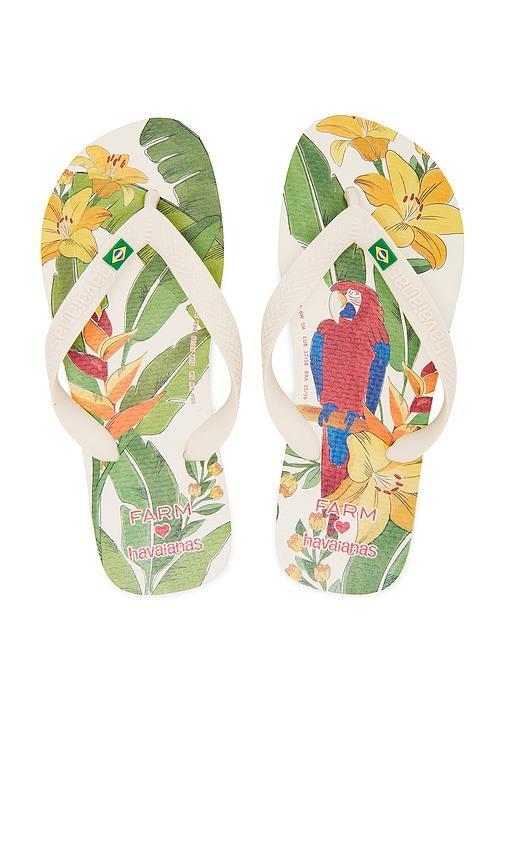 Farm Rio Parrot and Floral Sandal Havaianas Product Image