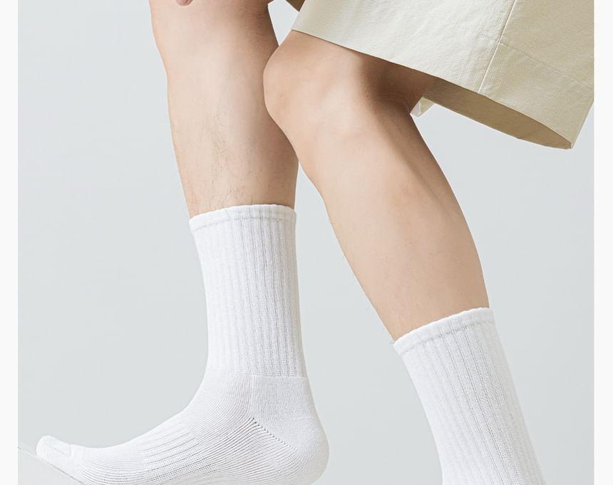 Plain Ribbed Socks / Set Product Image