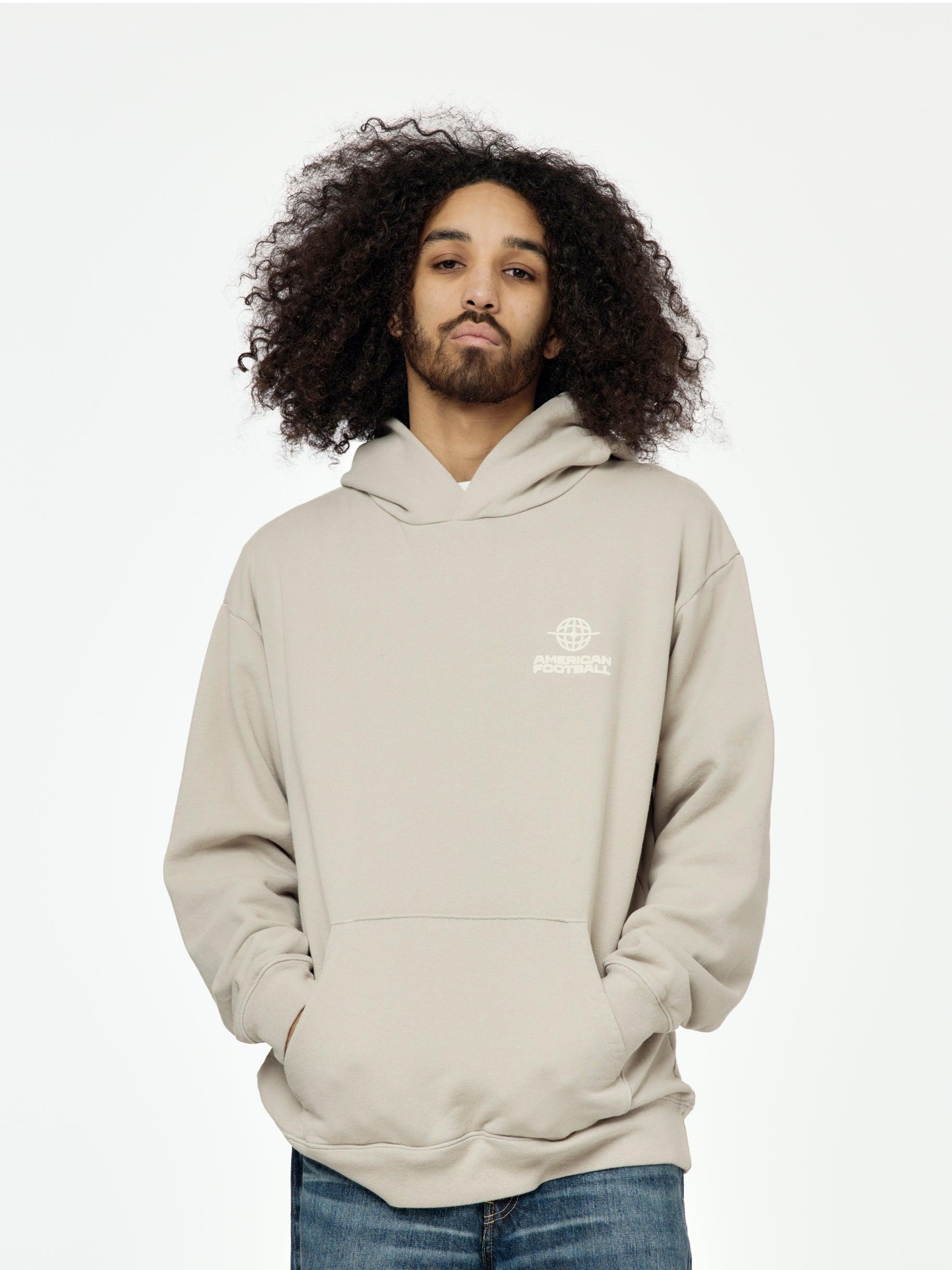 Big Icon Hoodie (Gray) Product Image