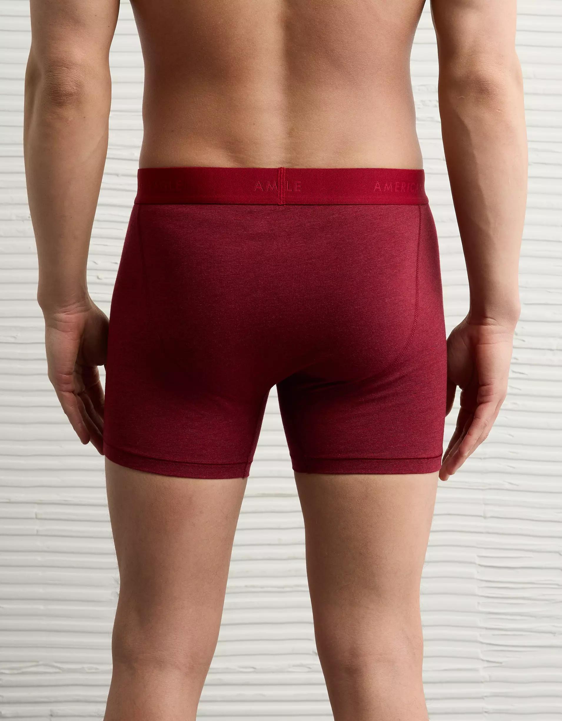 AEO Men's 4.5" Classic Boxer Brief Product Image