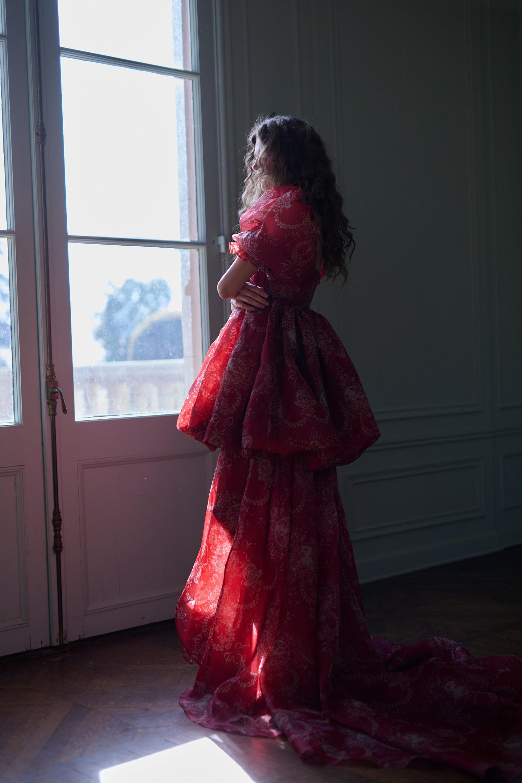 The Ornament Fairytale Gown Product Image