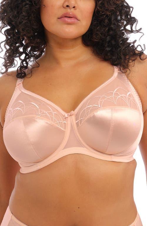 Cate Side Support Bra Product Image