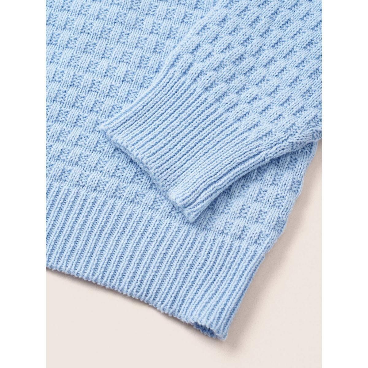 Plus Size Plain Texture Round Neck Elastic Cuffs Pullover LightBlue Women Basics Long Sleeve Round Neck Everyday Pullovers BloomChic 26/4X Product Image