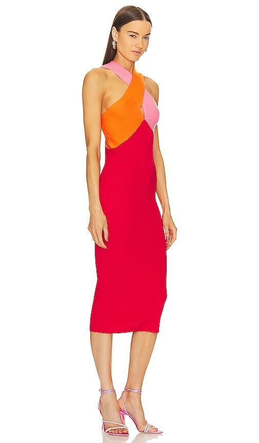 Le Superbe Dragon Fruit Dress in Red. - size XS (also in M, S) Product Image