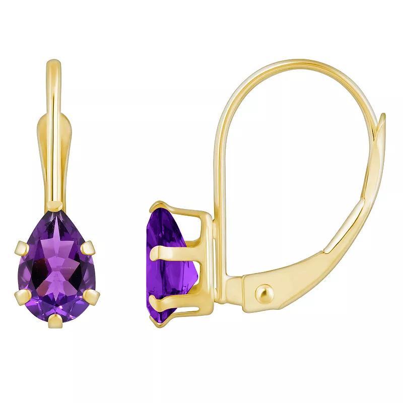 Celebration Gems 10k Gold Pear Shape Amethyst Leverback Earrings, Womens, 10k Whgold Product Image