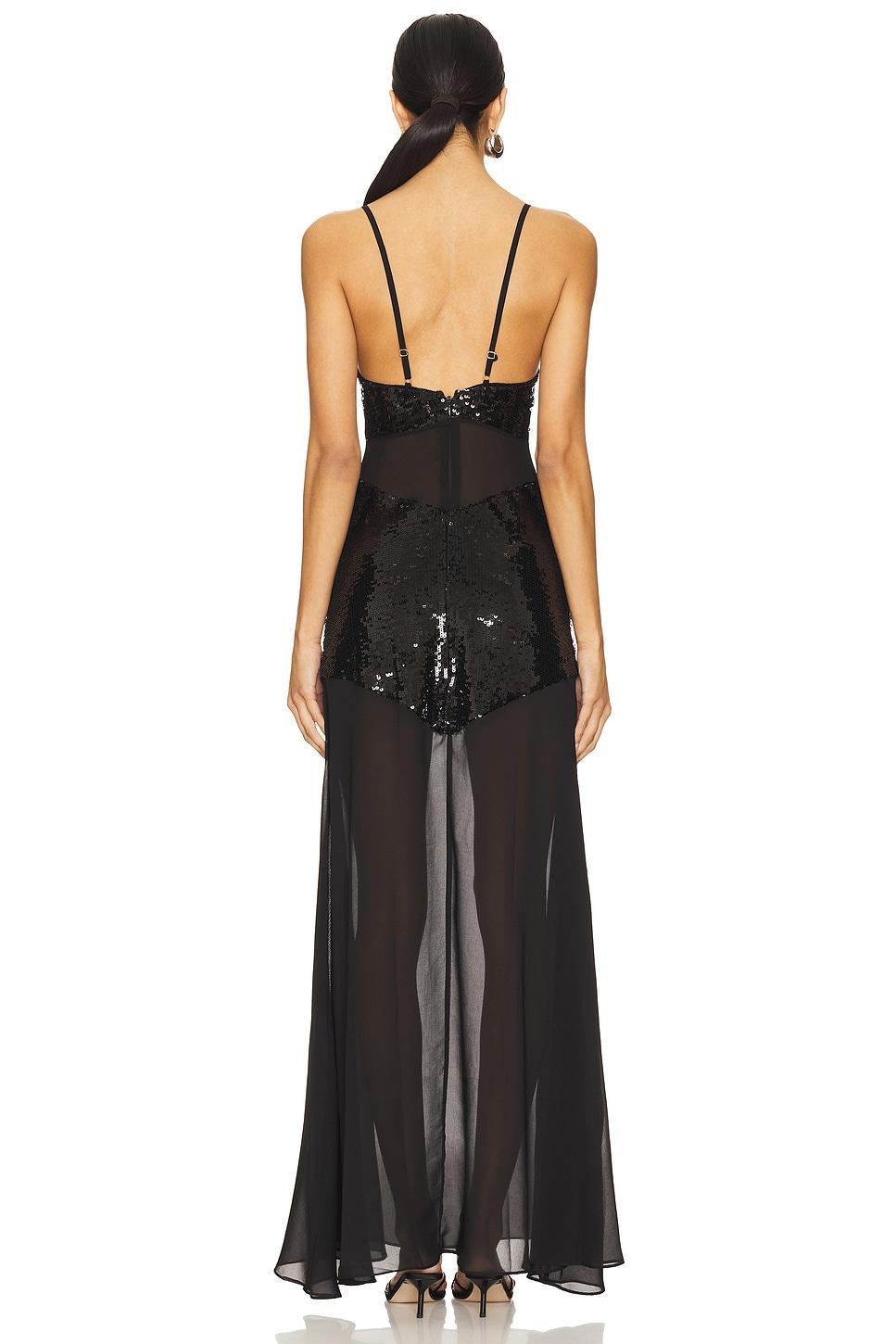 Sheer Panel Maxi Dress WeWoreWhat Product Image