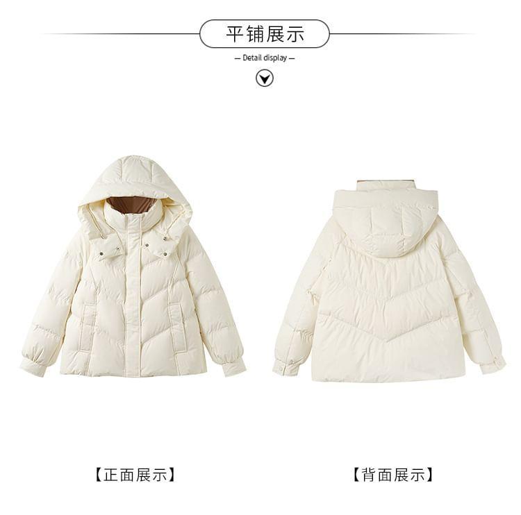 Stand Collar Two Tone Hooded Zip-Up Puffer Jacket Product Image