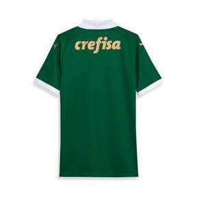 PUMA Palmeiras Fans '24 Home Men's Jersey Product Image