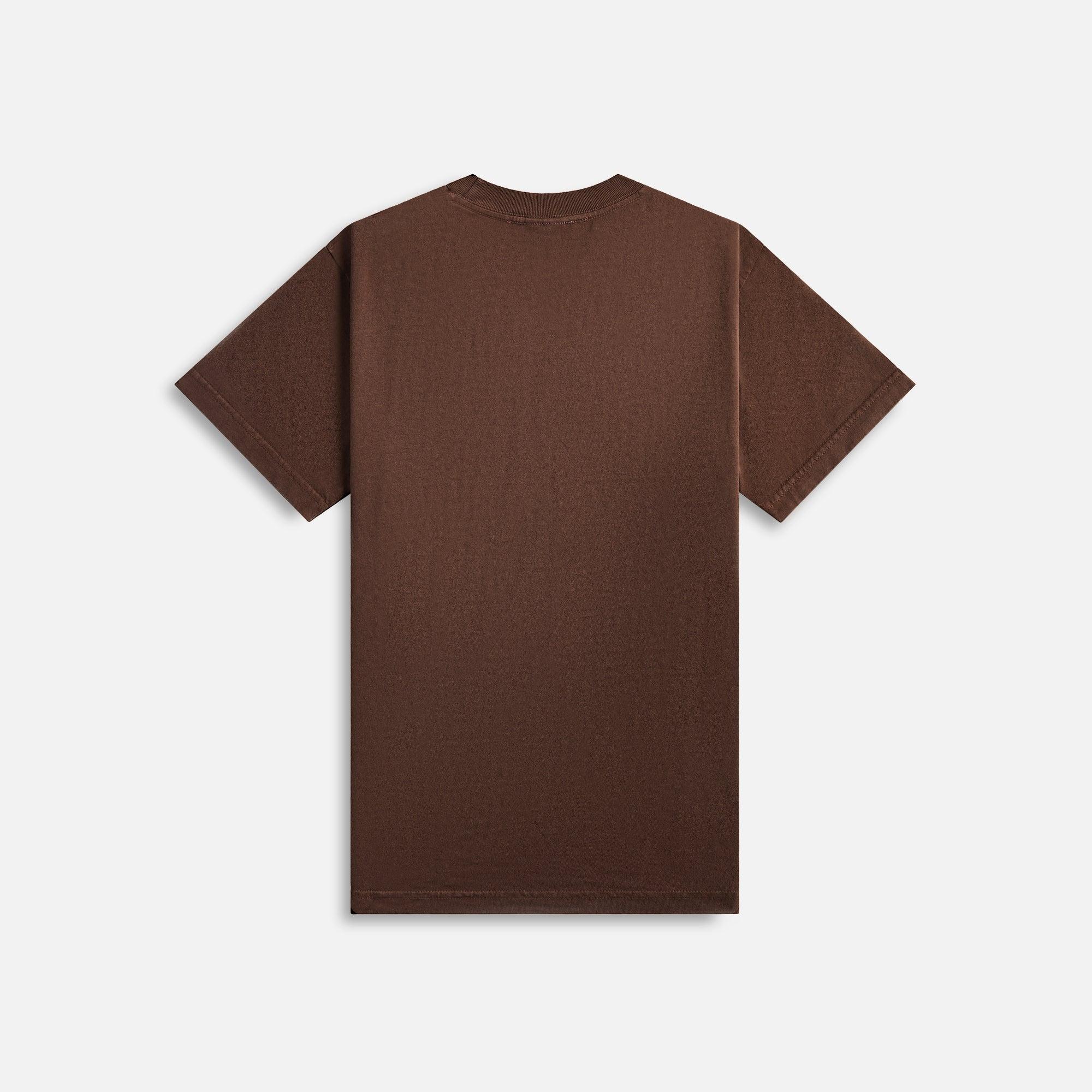 Awake NY Bunny Tee - Brown Male Product Image