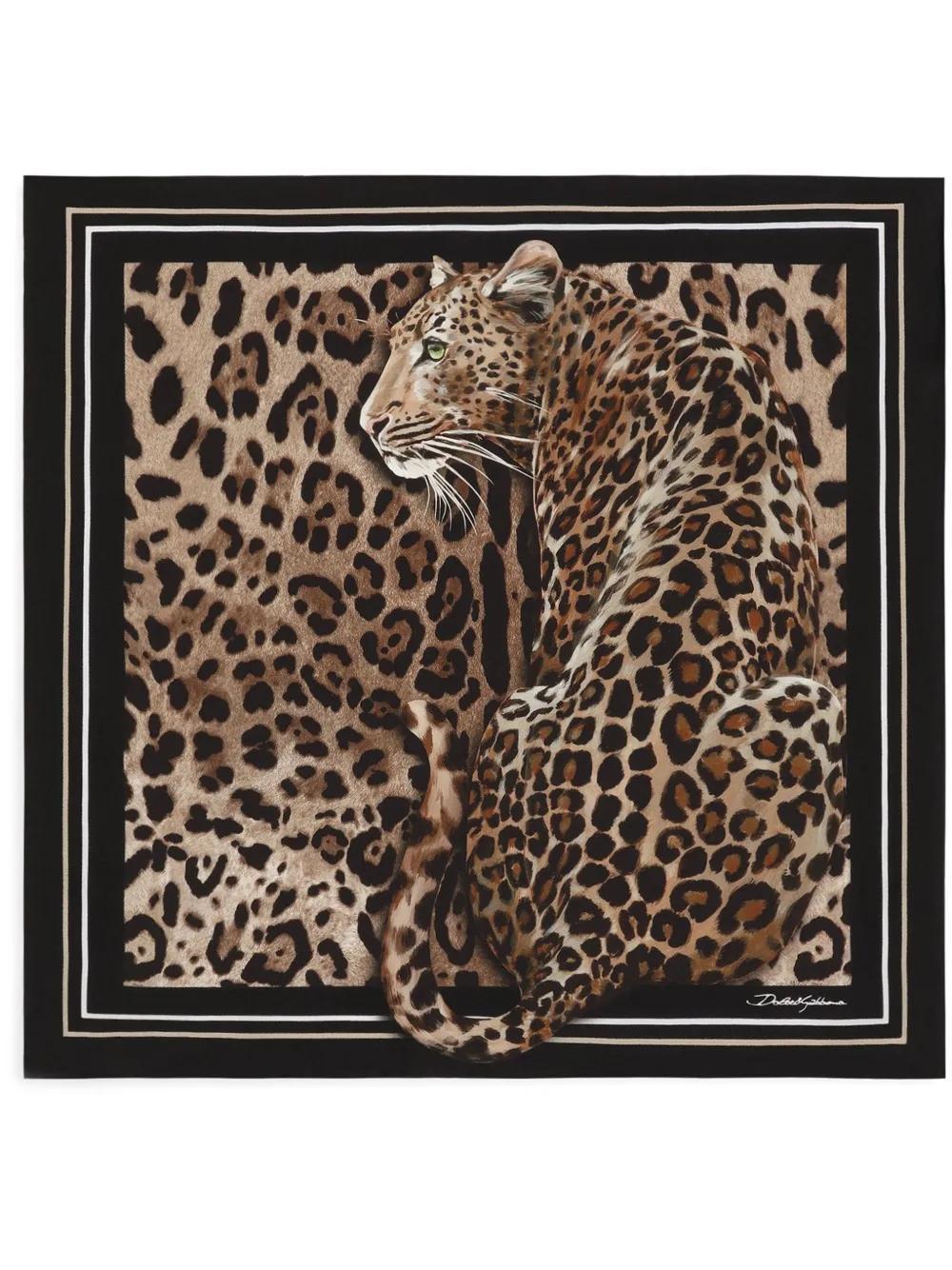 DOLCE & GABBANA Leopard-print Scarf In Brown Product Image