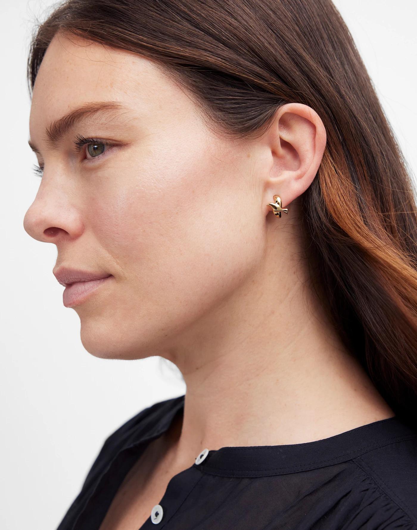 Sparrow Hoop Earrings Product Image