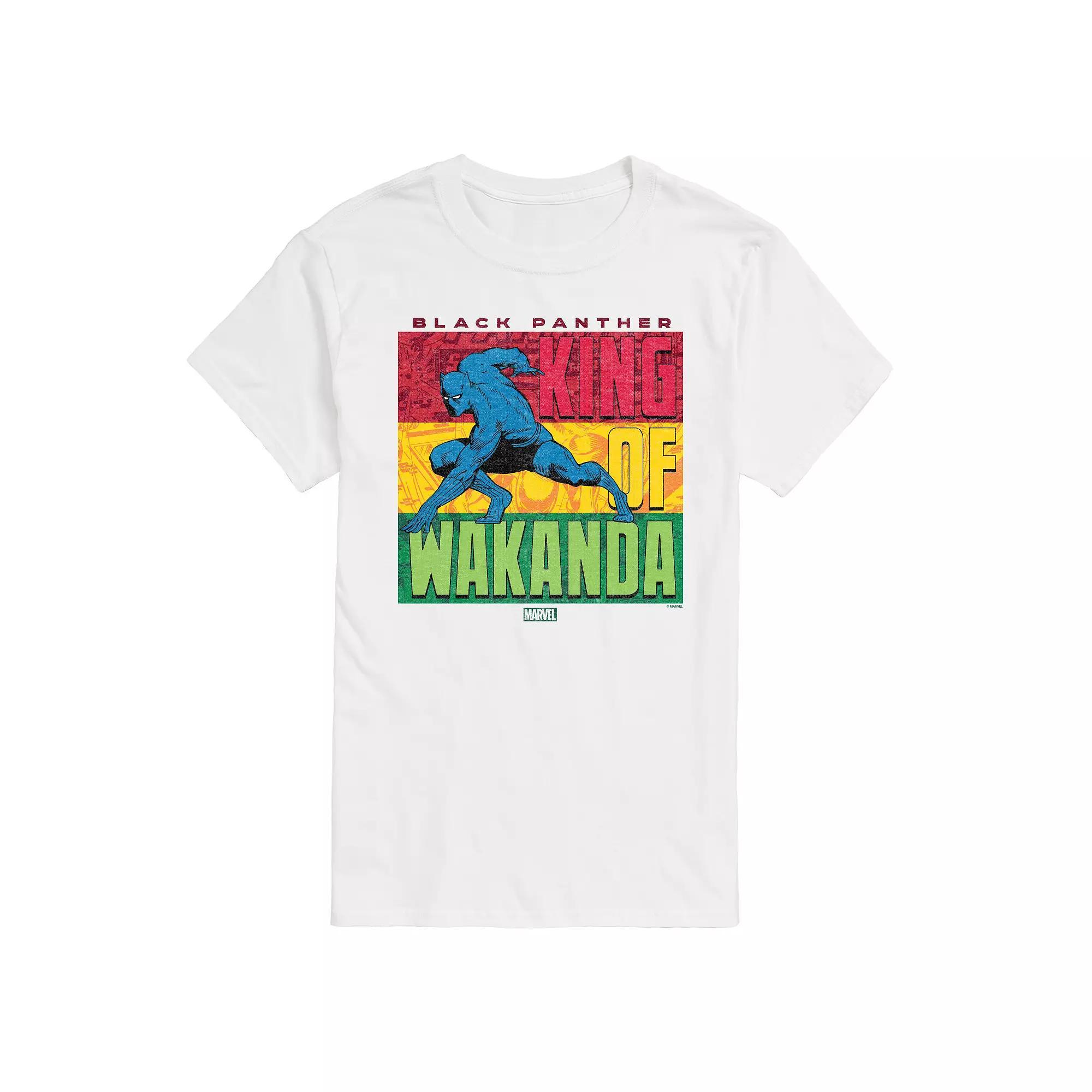 Big & Tall Marvel Black Panther King Of Wakanda Graphic Tee, Men's,  Product Image