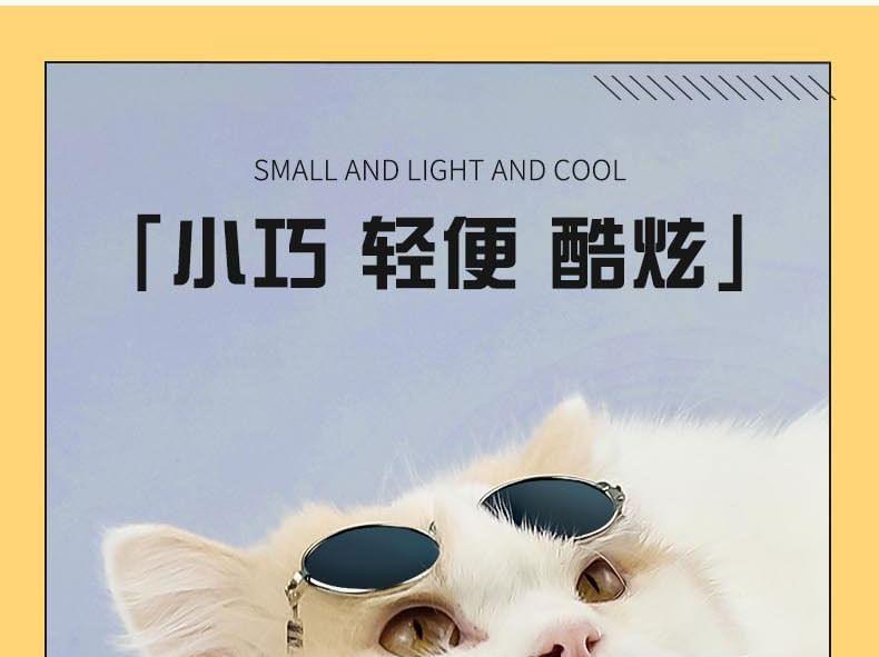 Pet Sunglasses Product Image