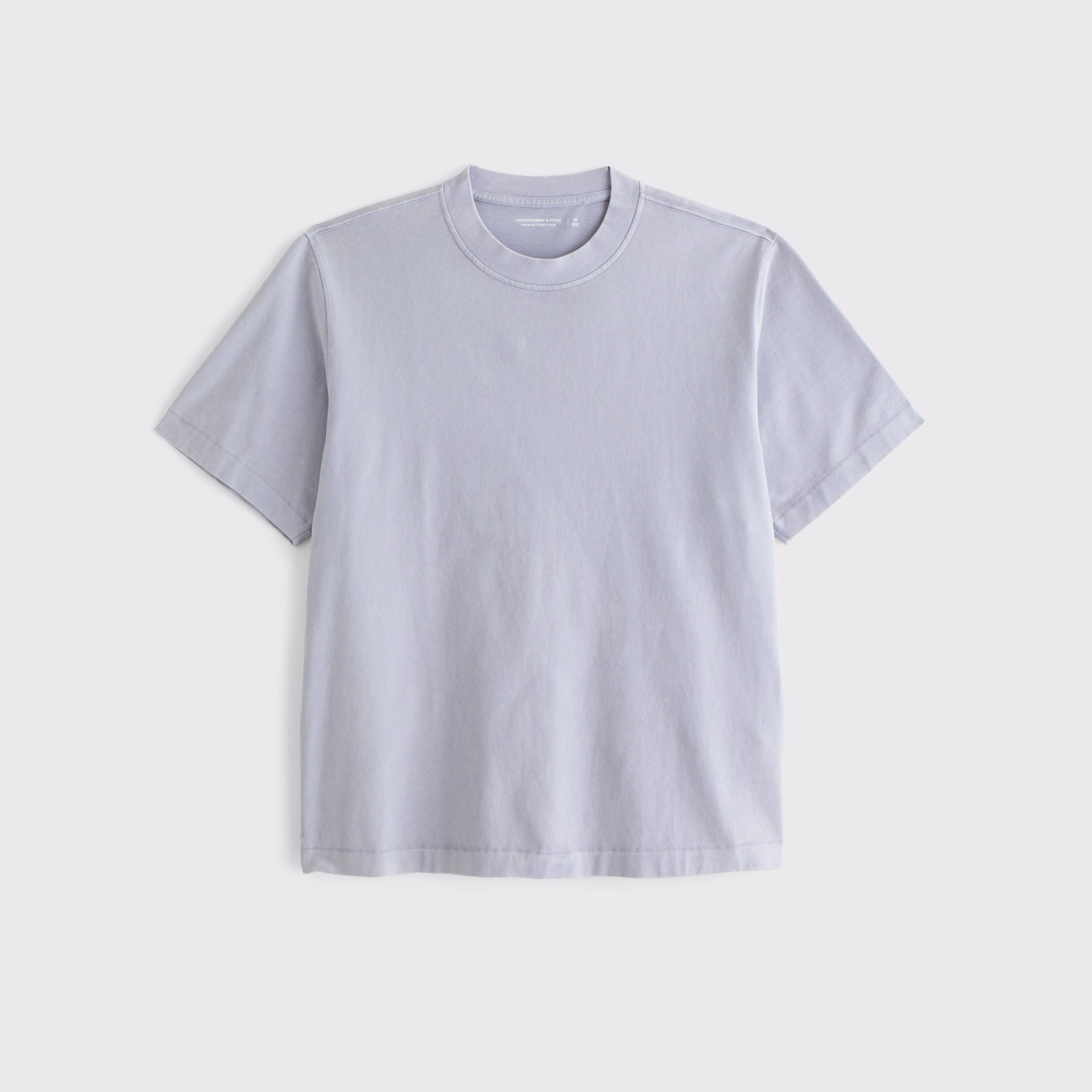 Premium Heavyweight 2.0 Tee Product Image