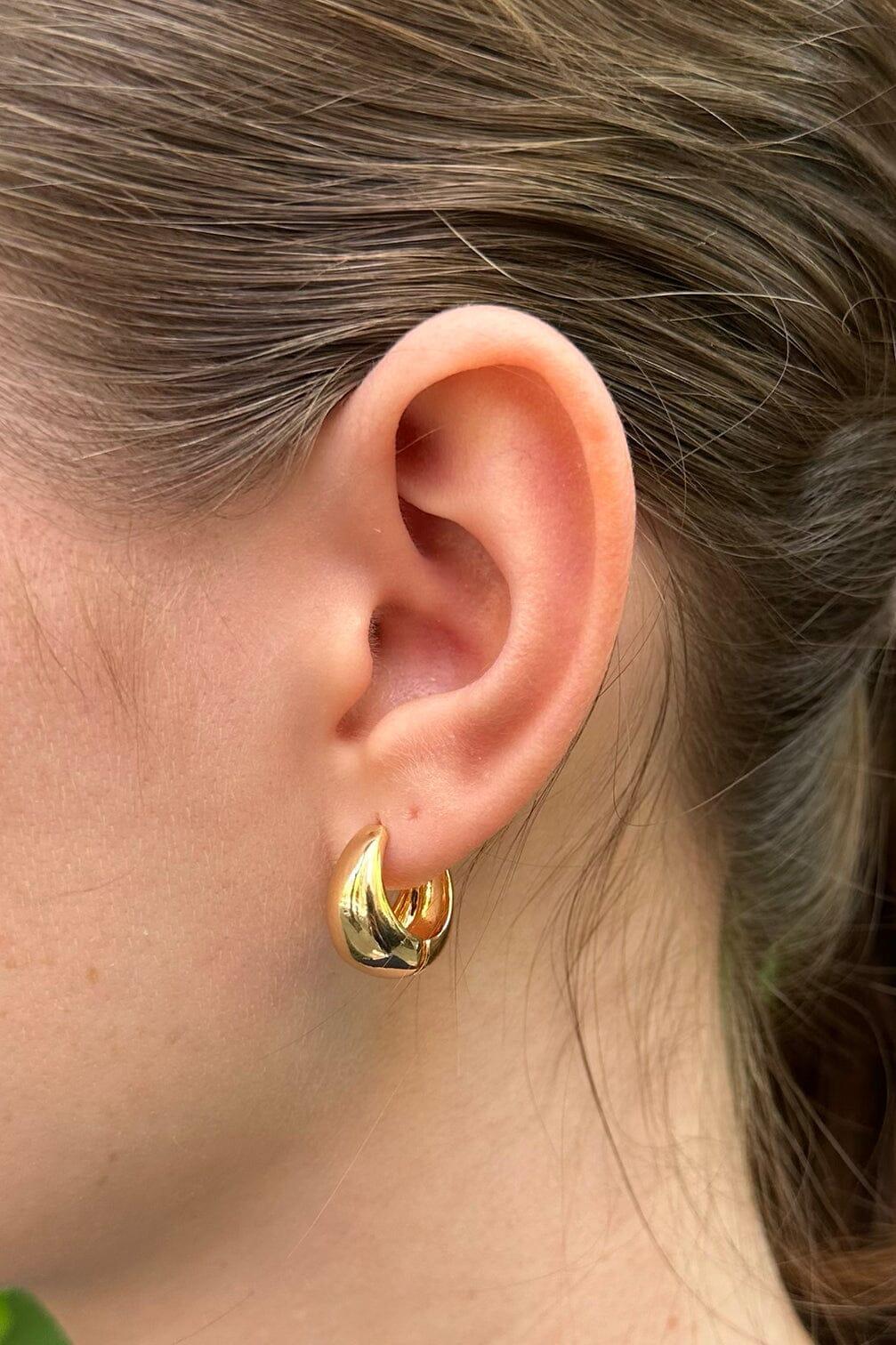 Hoop Earrings Product Image