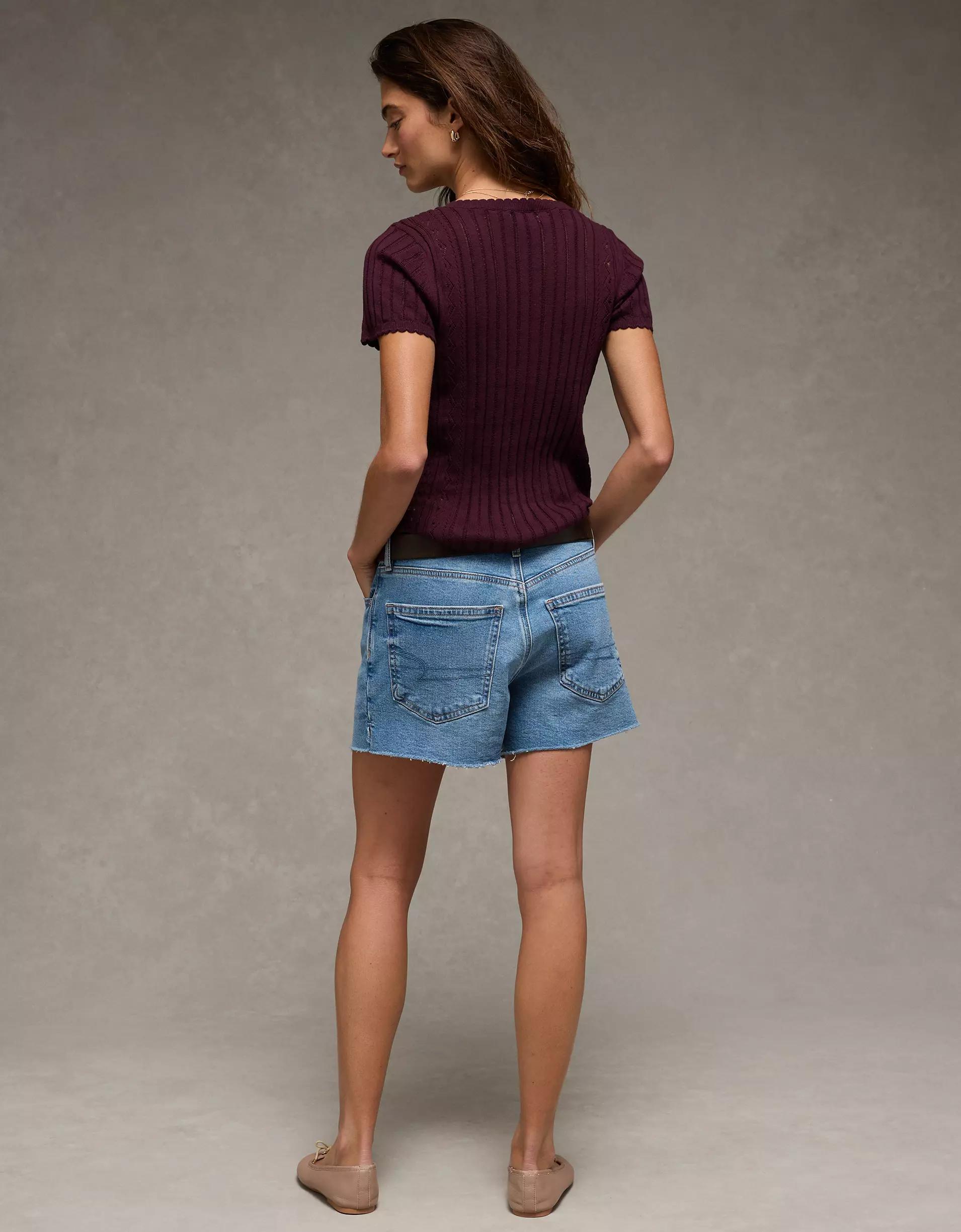 AE Henley Pointelle Sweater T-Shirt Product Image