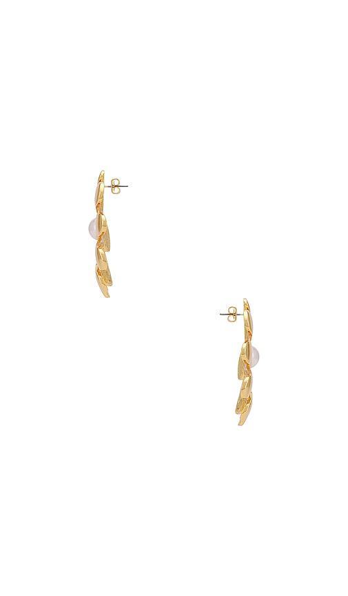 Floral Earrings Product Image