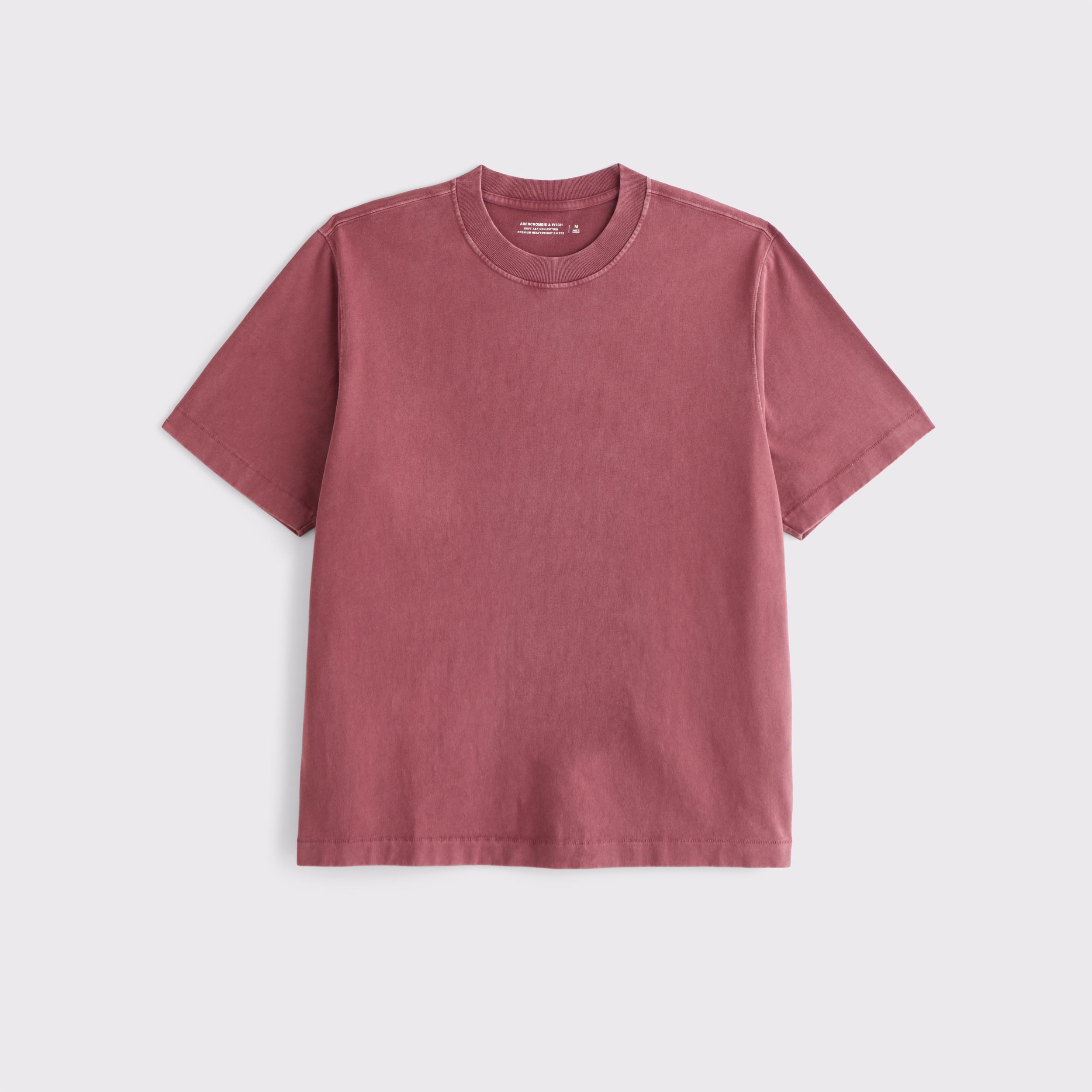 Premium Heavyweight 2.0 Tee Product Image