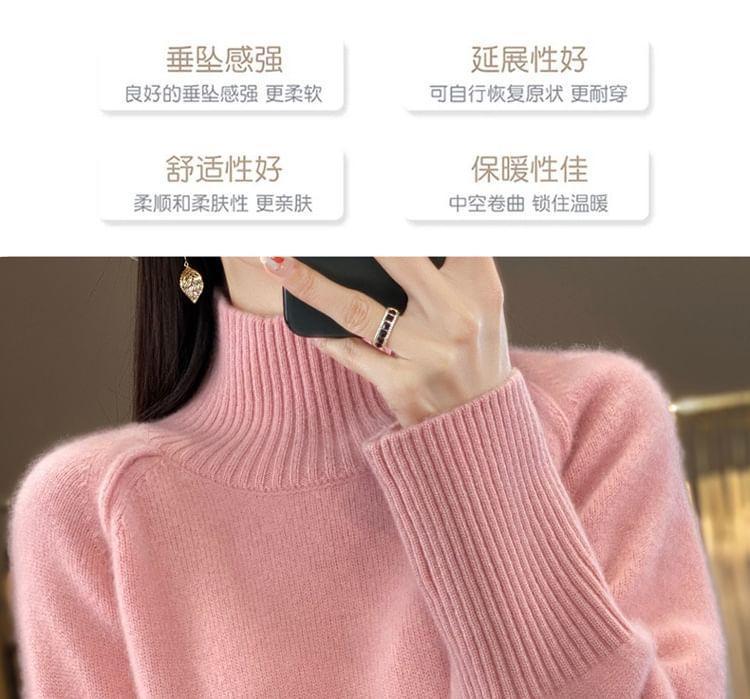 Turtleneck Plain Sweater Product Image