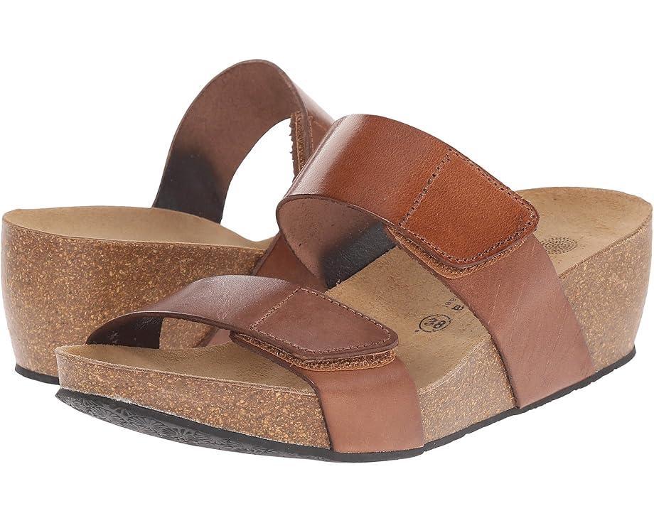 Lily 2 Product Image