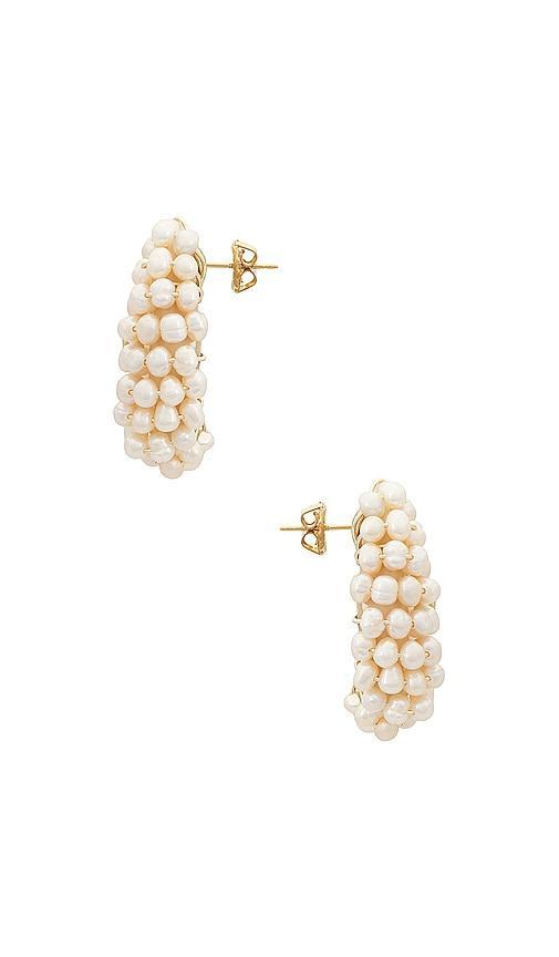 Eliou Congo Earrings Product Image