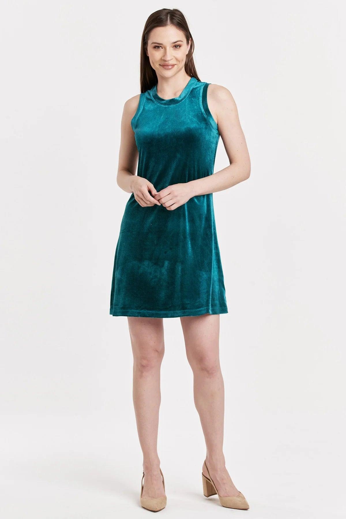 Justine Velvet Swing Dress Product Image